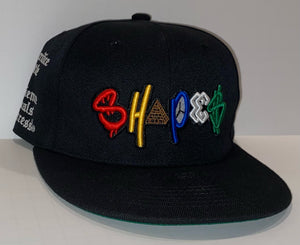 Black SnapBack Hat